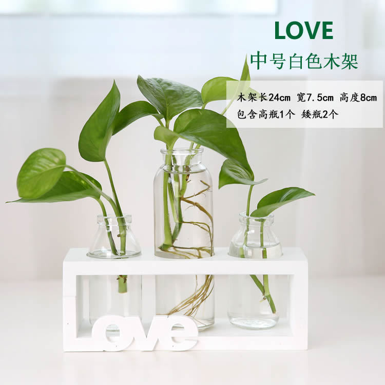 Soporte de madera creativo florero de vidrio hidropónico planta de rábano verde decoración de escritorio transparente Pequeño contenedor decoración de escritorio de oficina