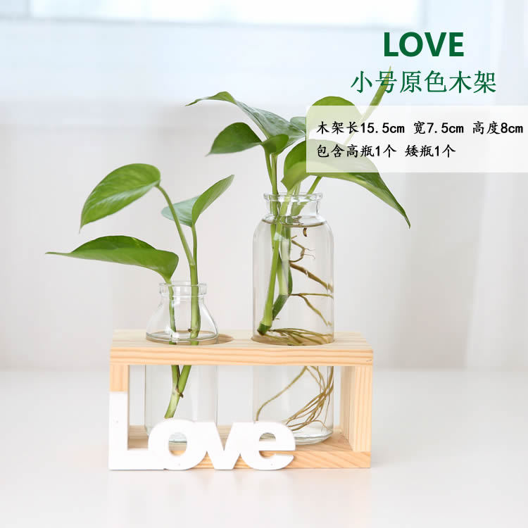 Soporte de madera creativo florero de vidrio hidropónico planta de rábano verde decoración de escritorio transparente Pequeño contenedor decoración de escritorio de oficina