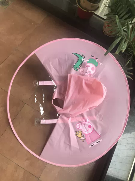 Pink Pig Flying San
