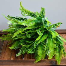 ���沨˹�~ ��˹�����~ ����ֲ����滨�ٻ� �Ų�ֲ��������