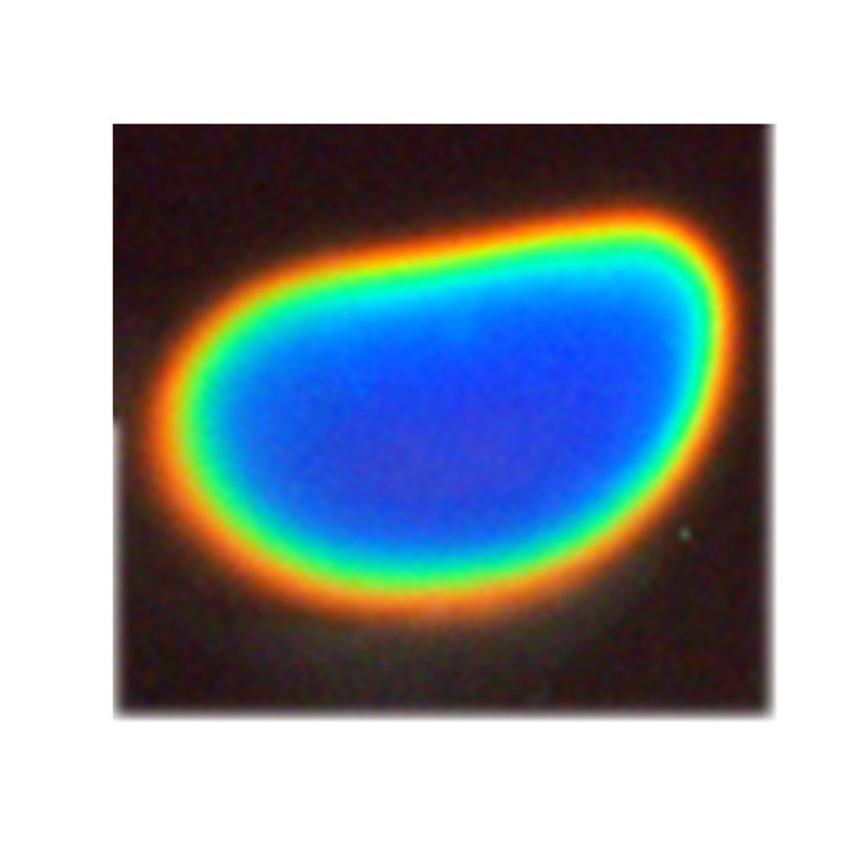 出口欧美六色液晶片感温变色贴纸测试脚型贴纸脚型亚克力测试板