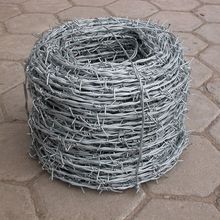 低碳鋼絲 鍍鋅雙股正擰刺繩2.0MM主絲1.6MM刺絲防爬刺網