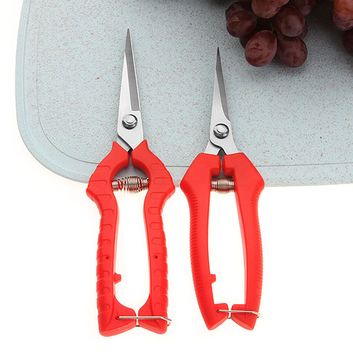 Gardening pruning shears, fruit picking, flower pruning, thin fruit pepper picking, grape fruit gardening agricultural fruit tree scissors, branch shears