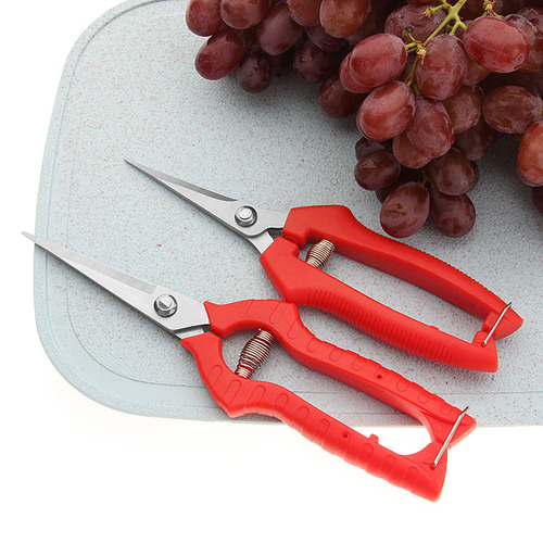 Gardening pruning shears, fruit picking, flower pruning, thin fruit pepper picking, grape fruit gardening agricultural fruit tree scissors, branch shears