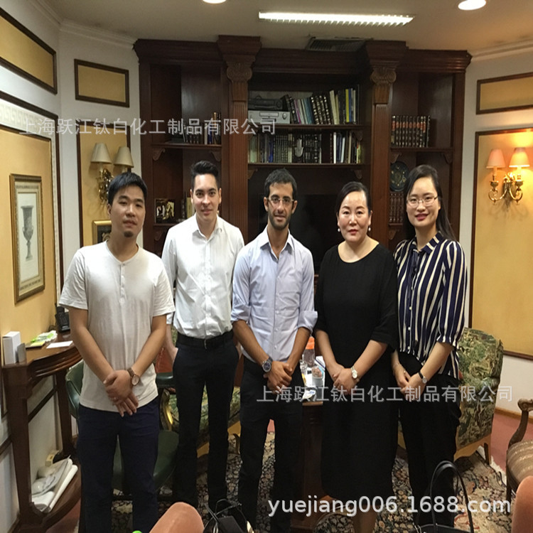 壁纸用台州Titanium Dioxide金红石型