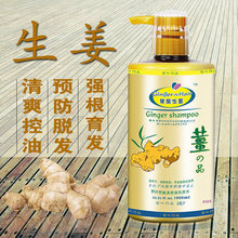 琴叶生姜洗发水防脱发控油正品老姜汁洗发水男士女士去屑清爽去油