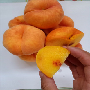 ����Ҙ���������Ѯ�S��� ����������Ʒ�N