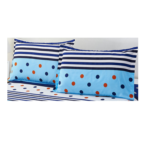 Pillow Case Brushed Printed Cartoon Single Matching Quilt Cover Bedding Pillow Case Wholesale