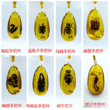 波罗的海琥珀吊坠虫珀挂件蝎子手把件螃蟹金龟子蝴蝶挂坠把玩坠子