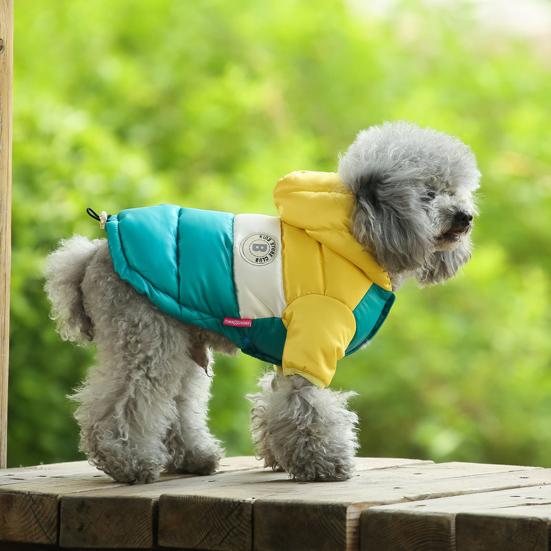 Day Pet Dog Down Cotton Vest Teddy Bomei Warm Wind Vest Two-legged Clothes Cat Winter Cotton Clothes Day Pet Dog Down Cotton Vest Teddy Bomei Warm Wind Vest Two-legged Clothes Cat Winter Cotton Clothes