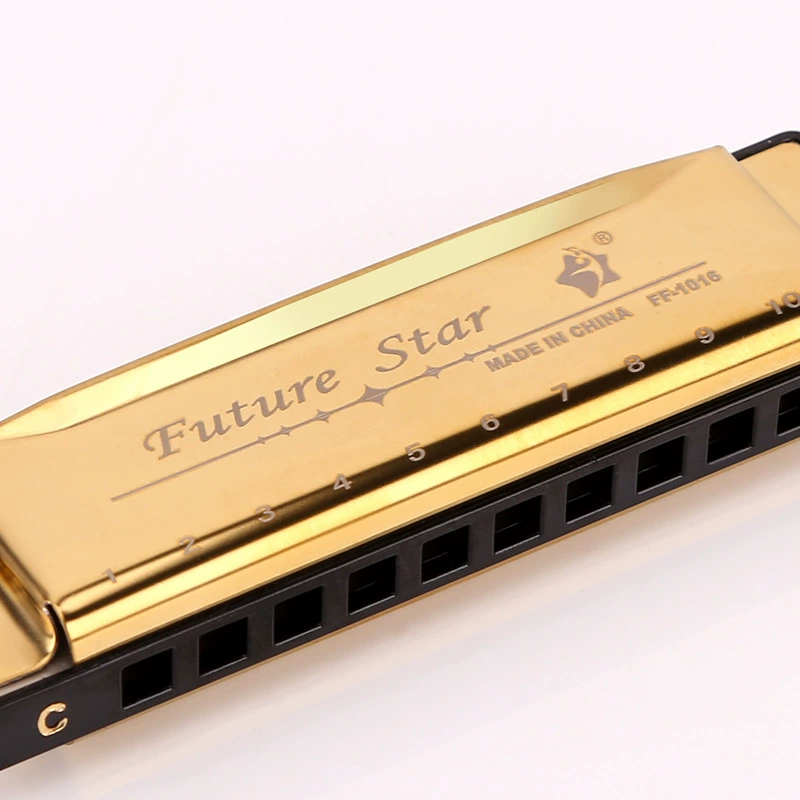 Гармоника Futurestar для начинающих, практика для студентов