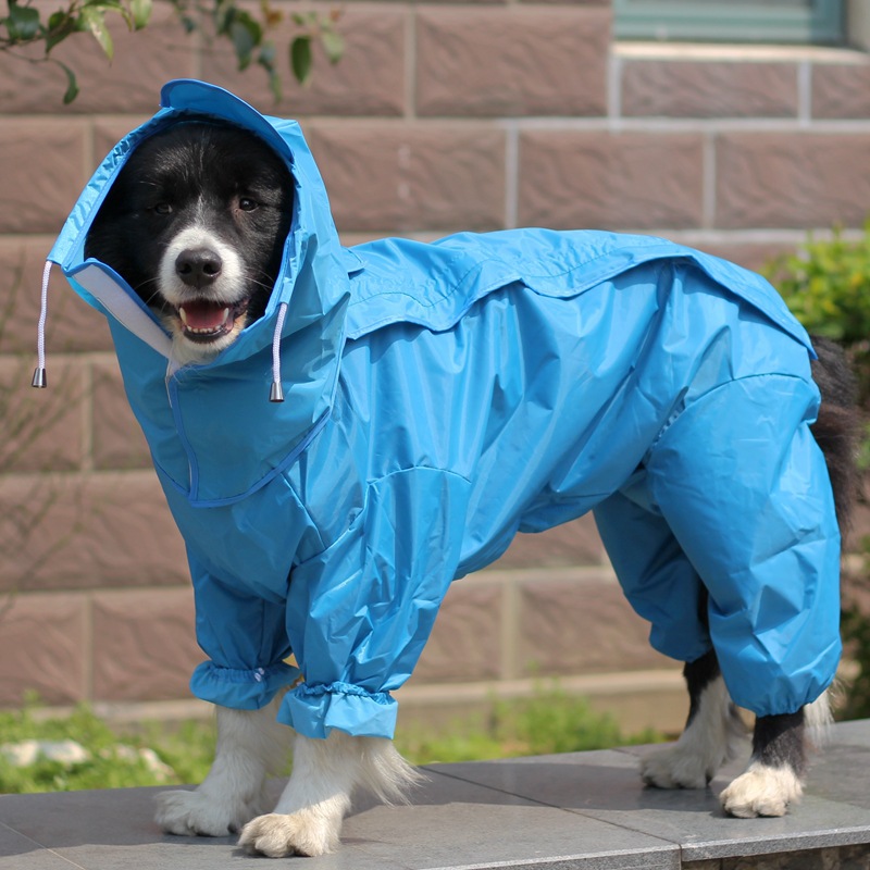 狗狗雨衣全包露腹中大小型犬泰迪比熊金毛萨摩宠物连体四脚衣服