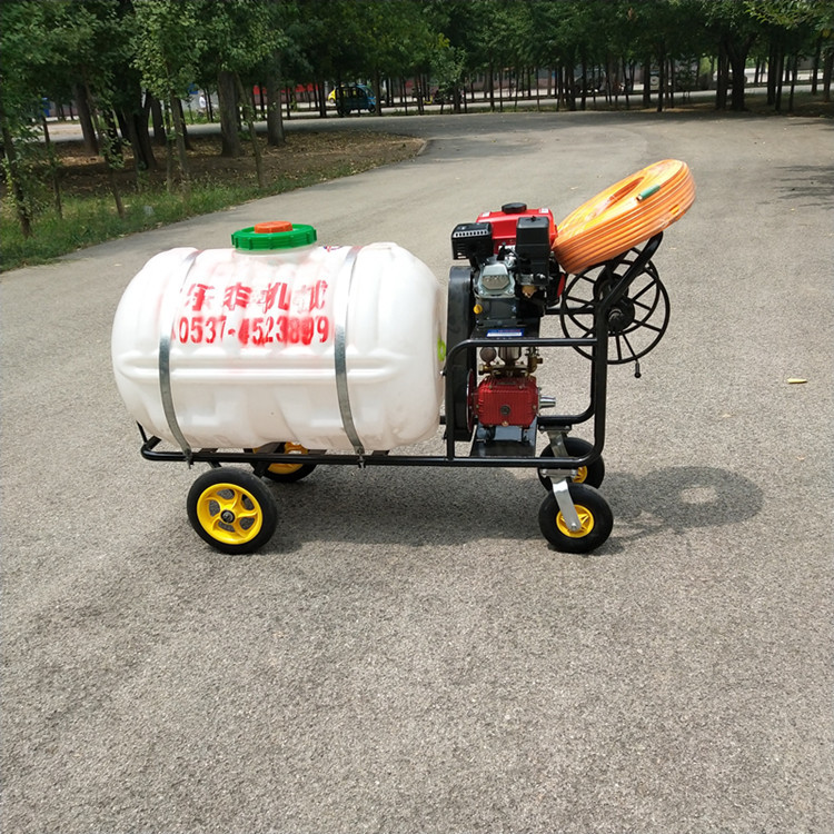 园林果树高压远射程手推式打药机 牲畜棚舍消毒打药机价格