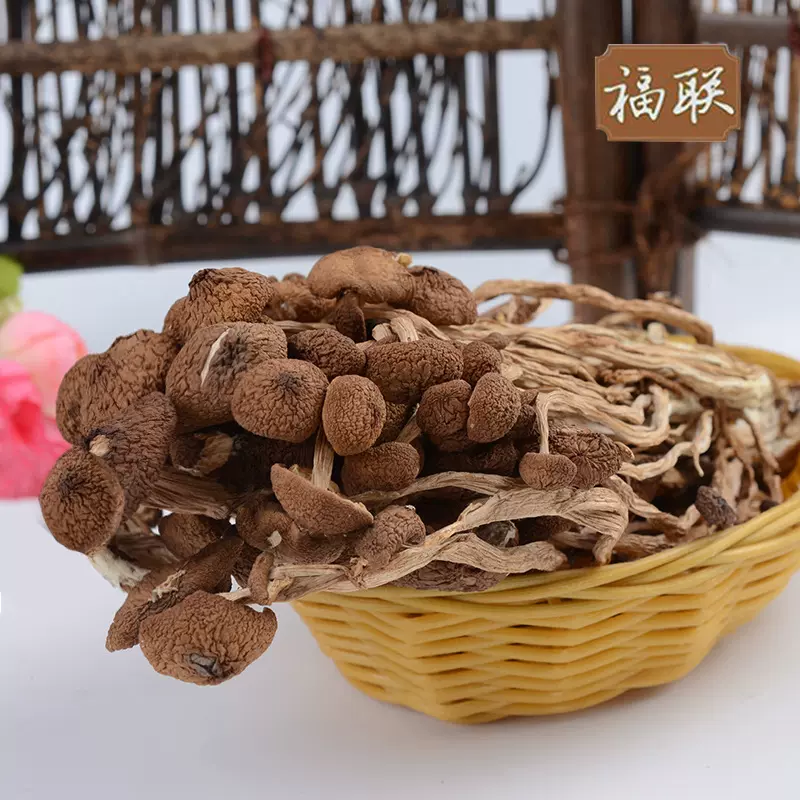 【茶树菇】厂家批发 不开伞茶树菇 福建古田茶树菇 干货250克