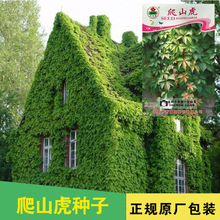 ɽNɽѻܷN̨߲˷Nl˷Nѹ˾