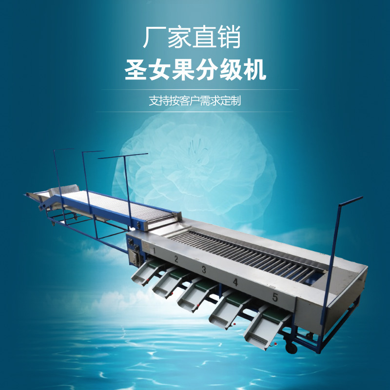 水果分选机 圣女果分级机 小蕃茄金桔杏子分级机