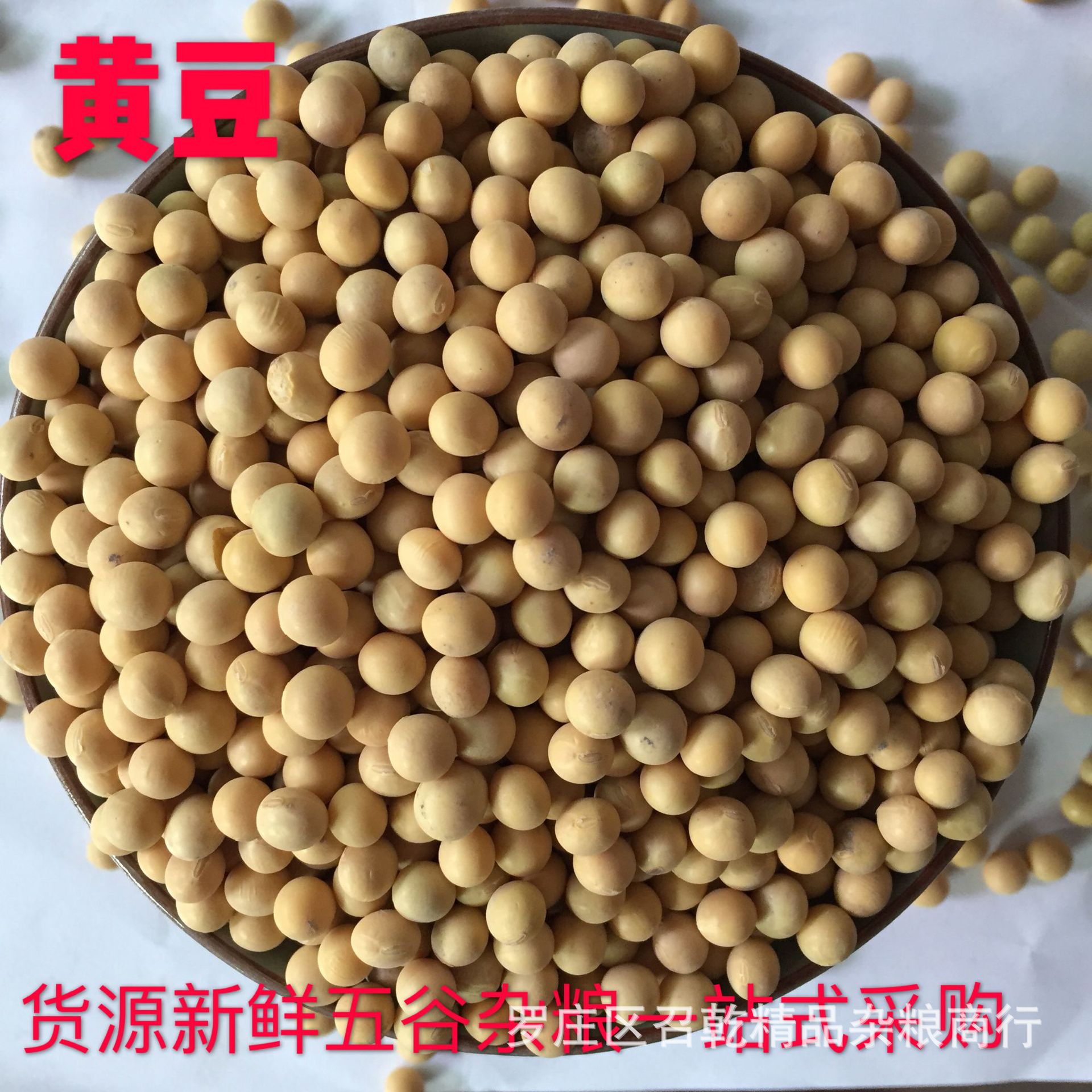 现货批发农家自产东北大豆 营养黄豆豆浆豆制品榨油原料黄豆