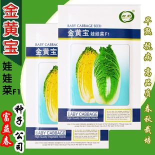 ���޲˷N�����޲���С�ײ˷N���߲˷N�����l�˷N���ѷN�ӹ�˾�ļ�