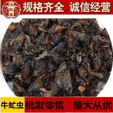 ��ţ��x�� ţ�nω ţ� ţ���x ţå�x 500�˳����r�aƷ��؛���l