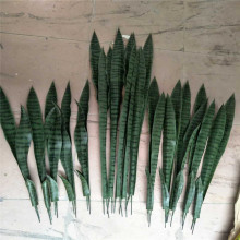 �|ݸ�����Ƭ��Ƥ�m�~�����a�S������Gֲ�����辰�bG߅��Ƥ�m