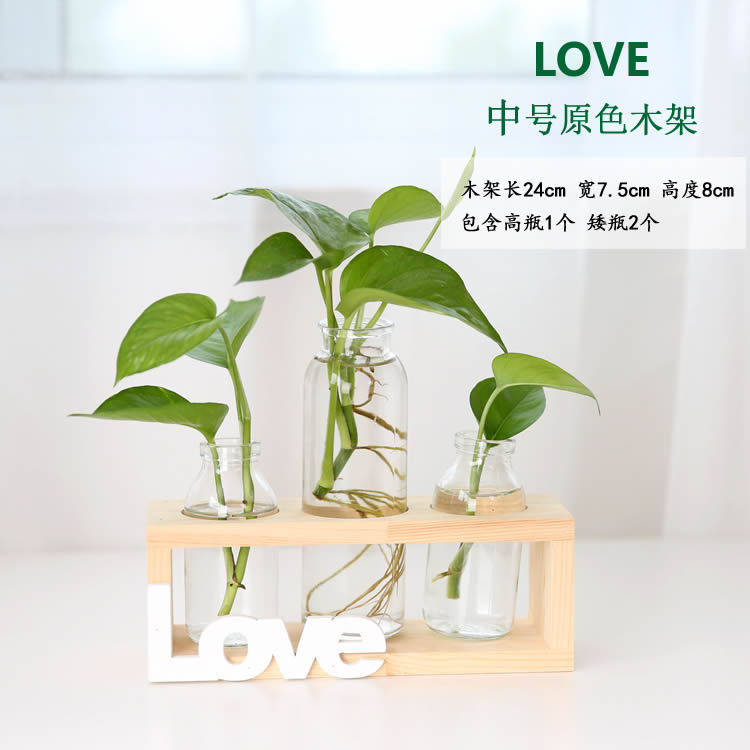 Soporte de madera creativo florero de vidrio hidropónico planta de rábano verde decoración de escritorio transparente Pequeño contenedor decoración de escritorio de oficina