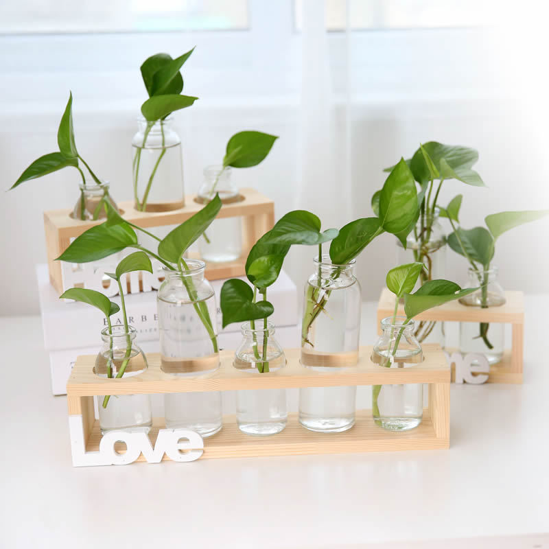 Soporte de madera creativo florero de vidrio hidropónico planta de rábano verde decoración de escritorio transparente Pequeño contenedor decoración de escritorio de oficina
