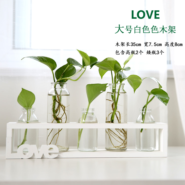 Soporte de madera creativo florero de vidrio hidropónico planta de rábano verde decoración de escritorio transparente Pequeño contenedor decoración de escritorio de oficina