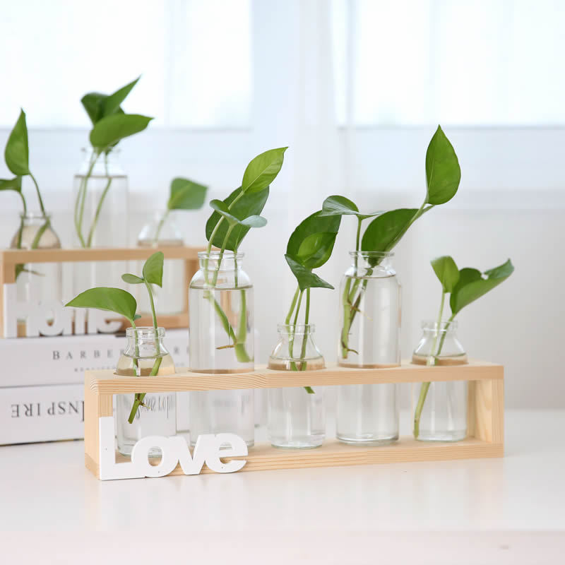 Soporte de madera creativo florero de vidrio hidropónico planta de rábano verde decoración de escritorio transparente Pequeño contenedor decoración de escritorio de oficina