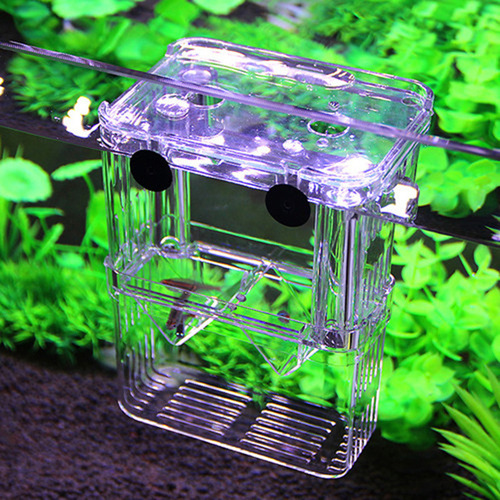 Fry breeding, acrylic double layer self-floating, guppy hatching box, incubator, isolation box, large betta box