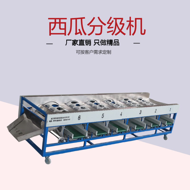 平和蜜柚分级机大个子选果机滚筒式水果机厂家直销