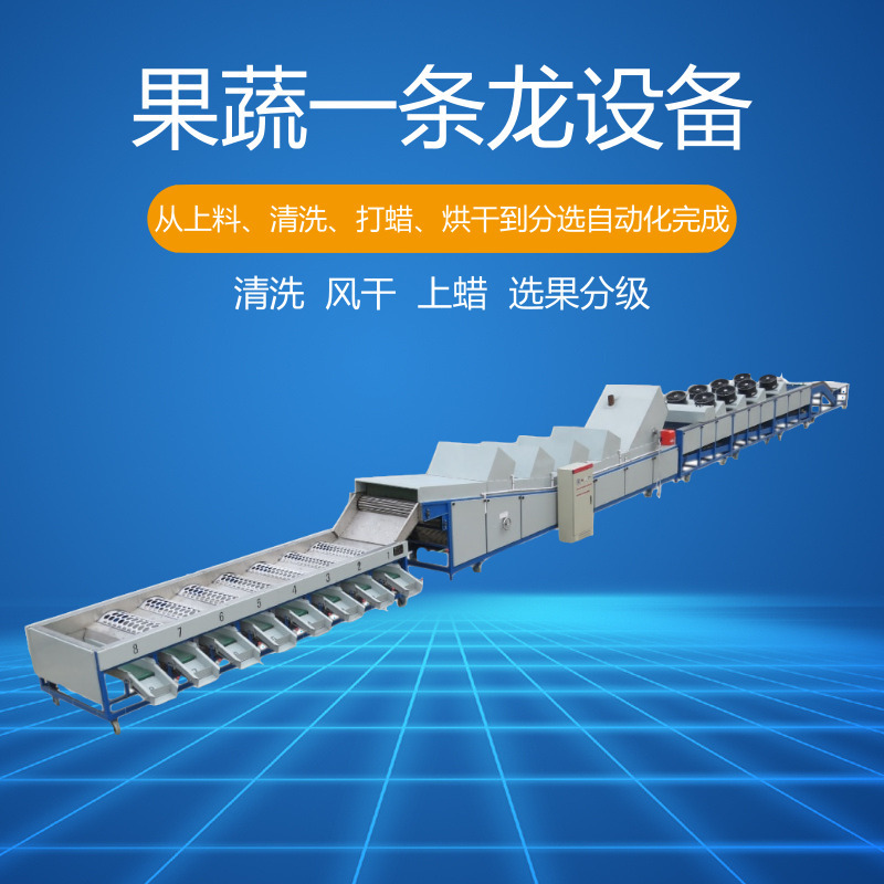 大型全套水果分选机柑桔清洗打蜡烘干机风干机分选机果蔬喷蜡保鲜