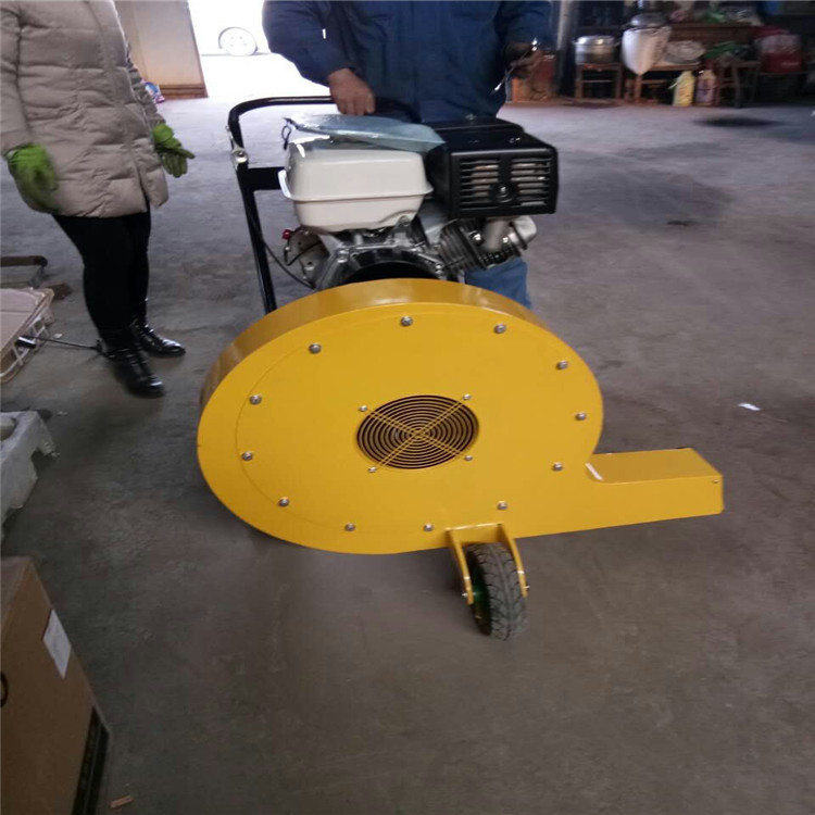 厂家批发手扶路面吹风机 大马力内燃手推吹风器 背负吹风生产现货