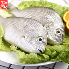 �S���~ �S���~500g�|ɽ���r�������~�Mœһ�����lֱ���� �S���~