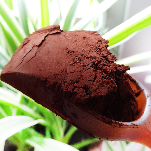 Fengxiangjia Factory Quality Changbai Mountain Toudao Ganoderma lucidum spore powder 100g Ganoderma lucidum powder bottle from Northeast origin straight hair