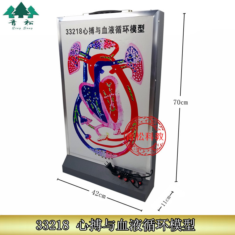 心搏与血液循环模型 33218 动态演示 生物实验器材 教学仪器
