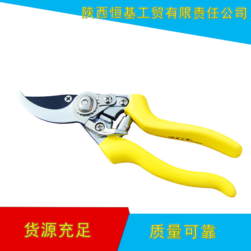 锌合金手柄园林剪刀果枝剪 园林工具修枝剪刀 手动果树剪批发