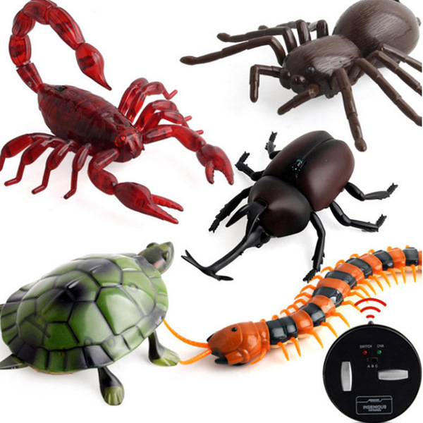 electric realistic induction toy