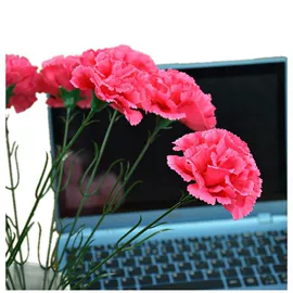 仿真花;仿真绿植;仿真玫瑰