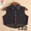 Spring universal lace demi-season false collar, shirt, tank top, sweater, decorations, Korean style