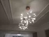 White light