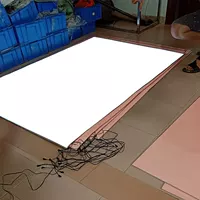 1 M 2 × 2 M 4 Подсветка EL холодная светящаяся пленка может использоваться для всех видов внутренней и наружной декоративной рекламы холодная экранная реклама