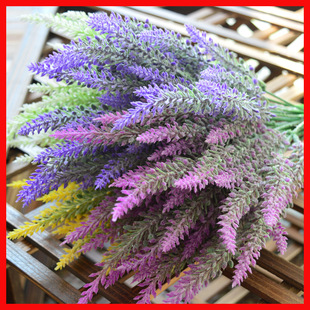 �¿�羳����޹�²����뻨�ݷ���ֲ��ֲë��@�L���bѻ�������