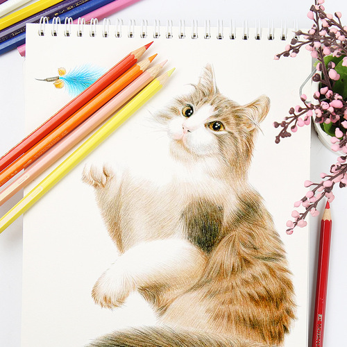 German Faber-Castell 48-color water-soluble colored lead 60-color/72-color painting water-soluble colored pencil water-soluble colored pencil
