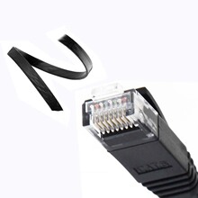 �S��ֱ�Ncat6�����α�ƽ�W��  ���~ǧ��·�����W�j����3��