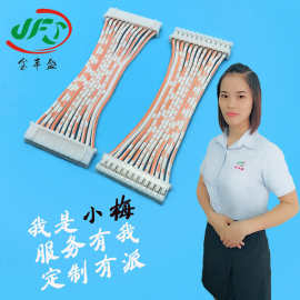 金丰盛厂家直供PH2.0端子线 20080电机连接线 照明灯电子线束批发