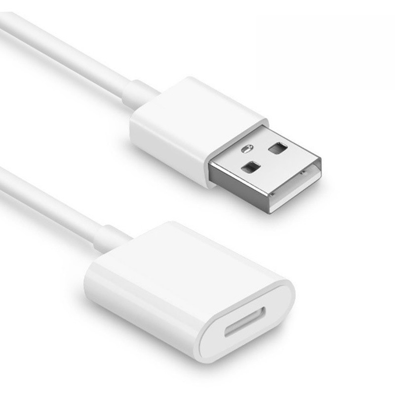 Cruz-frontera aplicable de Apple lápiz de escritura capacitiva lápiz USB a Rayo de extensión femenina cable de carga