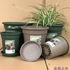 Global gallons, second -generation resin breathable Qingshan basin, plastic succulent flower pot container, rose green plant control basin