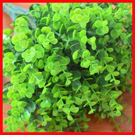 仿真塑料水草尤加草利叶 金钱草绿植盆栽装饰配草人造金钱叶把束