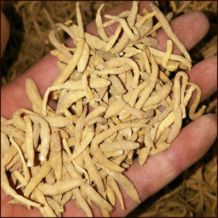 ���l������؛̫�Ӆ�������șʳͬԴ̫�Ӆ���ș������r���F�ݮa��