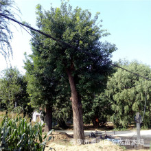 ɽ|̩؃r@ֹ̾Gľlľa^